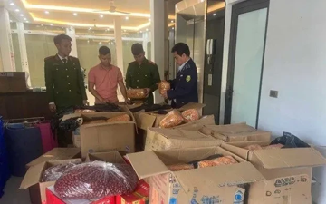 Ninh Bình: Phát hiện 3,5 tạ đông trùng hạ thảo và táo đỏ 'mập mờ nguồn gốc' trong một hộ kinh doanh