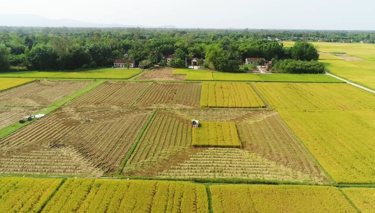 Kể từ nay, các trường hợp này sẽ được kéo dài thời hạn miễn thuế sử dụng đất nông nghiệp. Ảnh minh họa Kể từ nay, các trường hợp này sẽ được kéo dài thời hạn miễn thuế sử dụng đất nông nghiệp. Ảnh minh họa