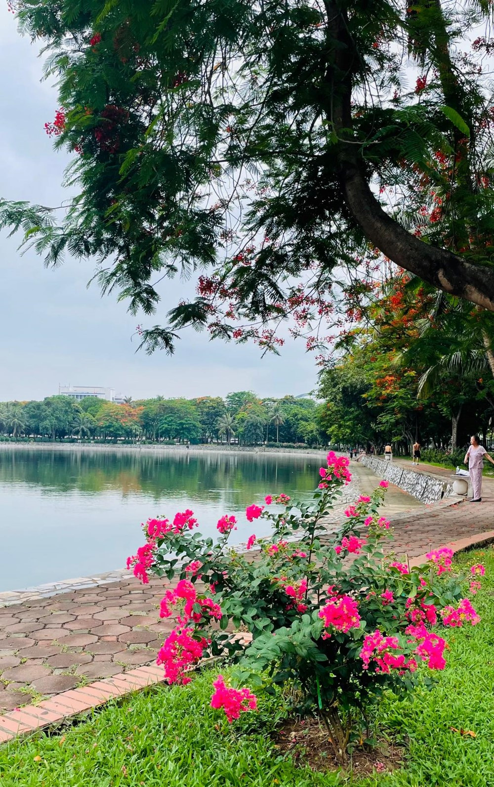 Công viên 50ha là 'lá phổi xanh' của Thủ đô Hà Nội, giáp 4 mặt phố lớn, rộng gấp 4 lần Hồ Gươm - ảnh 3