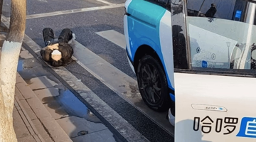 Hai người đi bộ nguy kịch sau cú tông của robotaxi