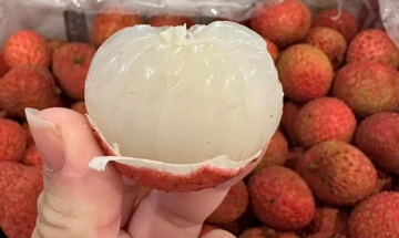 Vải thiều từ 'xứ chuột túi' về Việt Nam: Hộp 5kg giá 4 triệu, đặt trước cả tuần mới có, khách Việt vẫn chấp nhận xuống tiền vì lý do gì?