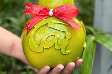 Dừa ‘tài lộc’ xuất hiện tại siêu thị từ sớm: Thử bán 10 ngày đã tiêu thụ hơn 200 trái, dự kiến tung 5.000 trái dịp Tết