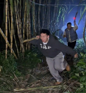 Trả tiền để được... trộm mía, dòng người ùn ùn kéo đến trải nghiệm cảm giác bị rượt đuổi