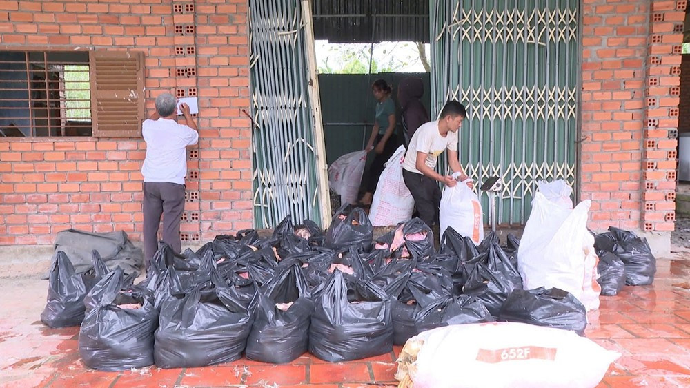 Phát hiện hơn 2 tấn vịt chết bốc mùi tại nhà dân, bắt quả tang vợ chồng D.Đ.C. - ảnh 1