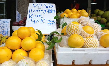 Từng 'đắt như vàng', nay vú sữa hoàng kim bán rẻ hơn cho: Người mua chê nhạt, giá rơi tự do, nhà vườn chỉ đủ hòa vốn