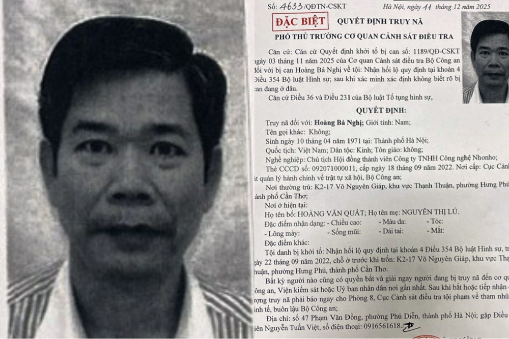 Truy nã đặc biệt Chủ tịch HĐTV Công ty NhoNho - ảnh 1