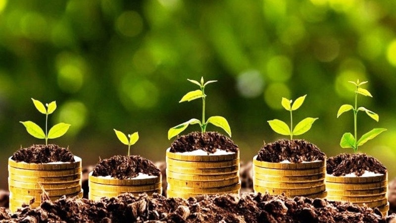 Thêm 5 doanh nghiệp thông báo chốt trả cổ tức tỷ lệ trên 25% bằng tiền (Ảnh minh họa)