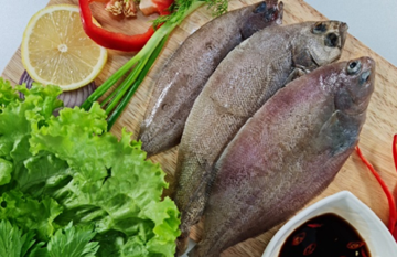Loài cá 'xấu lạ' nhưng là đặc sản giàu dinh dưỡng giá chỉ từ 100.000 đồng/kg, dân sành ăn ráo riết tìm mua