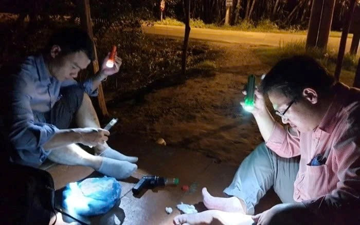 Người bắt muỗi tại thành phố này của Việt Nam sẽ được hỗ trợ 130.000 đồng/đêm