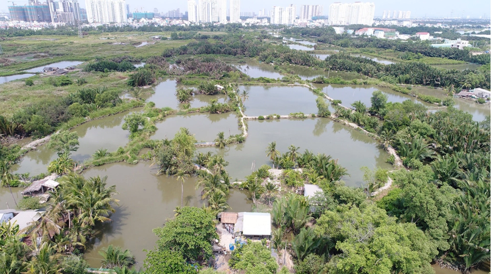 Screenshot 2025-12-12 225219