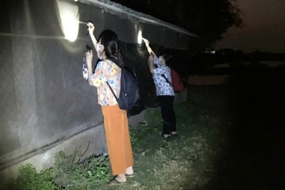 Người bắt muỗi tại thành phố này của Việt Nam sẽ được hỗ trợ 130.000 đồng/đêm - ảnh 3