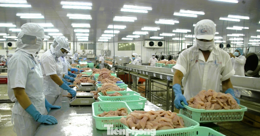 Điểm nghẽn cản trở doanh nghiệp tư nhân