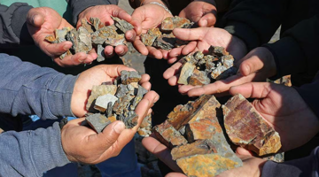 Phát hiện kho vàng lớn chưa từng thấy giữa rừng sâu, chính quyền đau đầu vì không thể khai thác