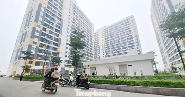 Bắc Ninh, Hải Phòng phát hiện hàng loạt sai phạm mua bán nhà ở xã hội