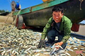 Loại cá bán đầy chợ Việt giàu omega 3 hơn cá hồi nhưng bị chê xấu mã nên ít ai mua