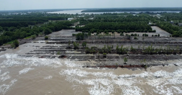 Mỗi năm mất hơn 50m đất ven biển Cà Mau