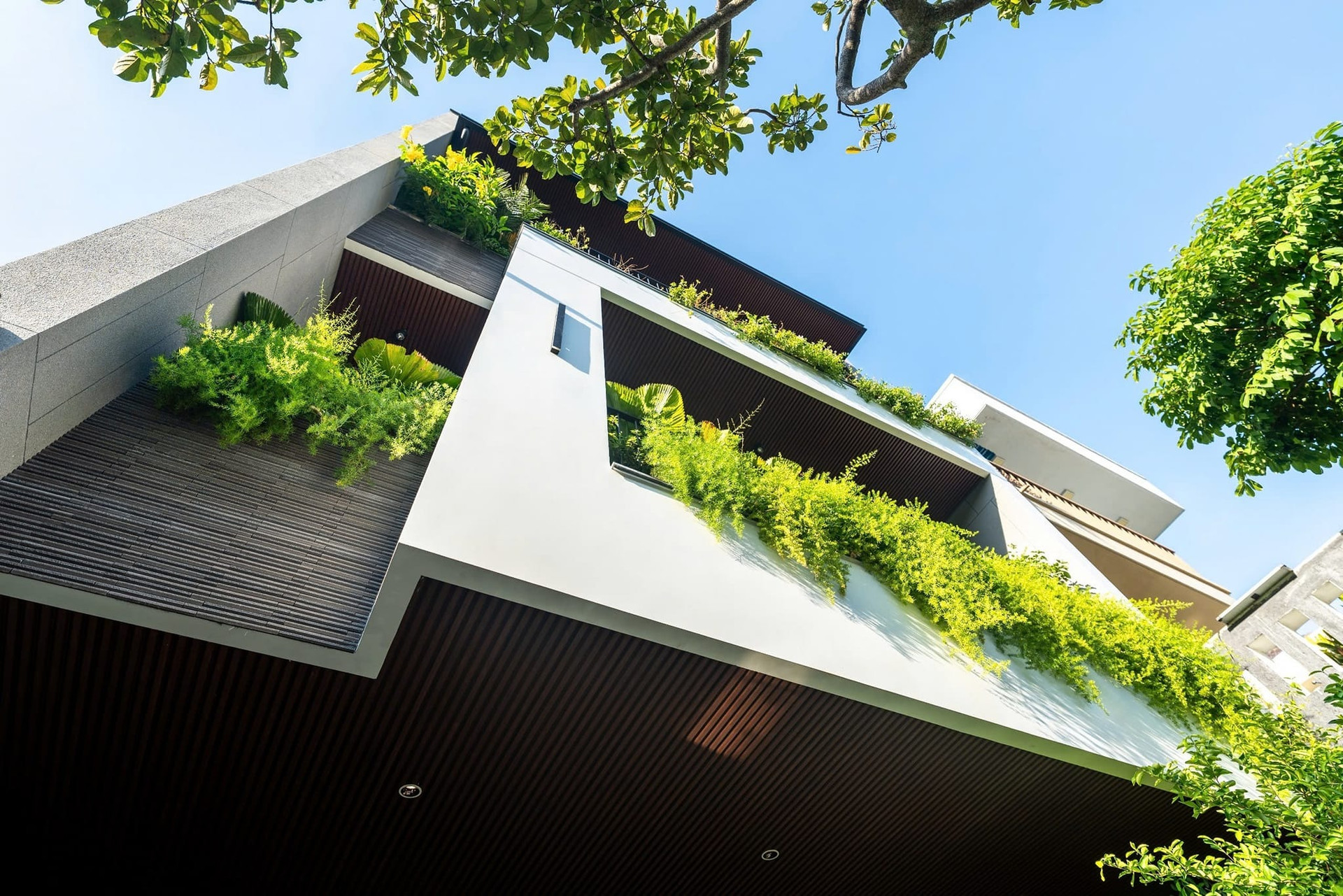 Bỏ chung cư Hà Nội về quê Nghệ An: Cặp vợ chồng xây nhà 3 tầng hiện đại, ban công phủ xanh rủ ôm trọn mặt tiền- Ảnh 8. Bỏ chung cư Hà Nội về quê Nghệ An: Cặp vợ chồng xây nhà 3 tầng hiện đại, ban công phủ xanh rủ ôm trọn mặt tiền- Ảnh 8.