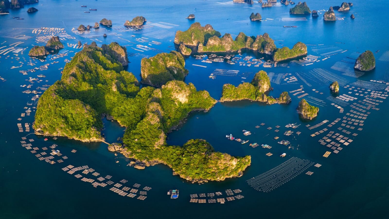 Ngày mai, Việt Nam chính thức khởi công khu đô thị lớn nhất cả nước: Quy mô hơn 4.100ha, vốn đầu tư gần 18 tỷ USD tại tỉnh sẽ 'cất cánh' lên TP- Ảnh 5.