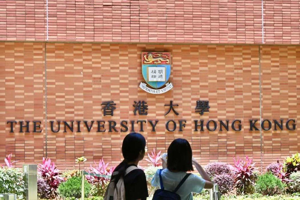 Giáo sư nổi tiếng mất chức Phó Trưởng khoa, bị điều tra vì 'mắc bẫy' của AI - ảnh 2