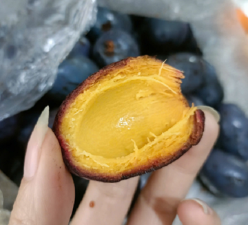 Từng rụng đầy đồi chẳng ai mua, loại quả này nay 'làm mưa làm gió' trên mạng, giá lên tới 150.000 đồng/kg