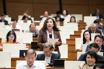 Nguy cơ rơi vào tình trạng 'chưa giàu đã già', đại biểu đề xuất thu hút nguồn lực tư nhân xây dựng cơ sở dưỡng lão