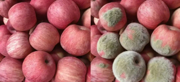 Trò lừa đảo mới thời AI: Người mua tạo hình ảnh giả để tố sản phẩm hỏng rồi đòi hoàn tiền