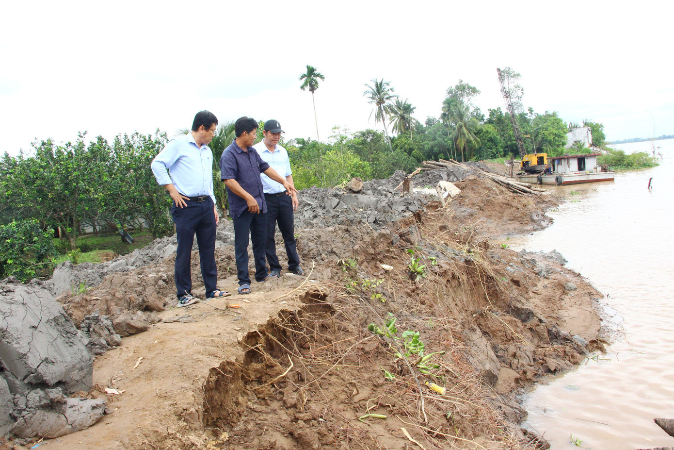 Khu vực sạt lở ở cồn Thanh Long, xã Quới Thiện, tỉnh Vĩnh Long. con.jpg
