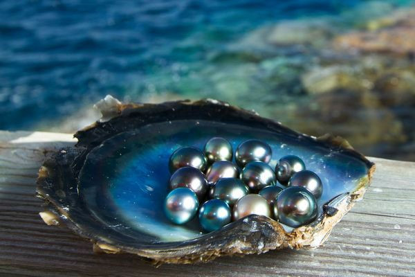 Hơn cả Maldives, Bali, Việt Nam có hòn đảo lọt top 'đẹp nhất thế giới năm 2025' - ảnh 4