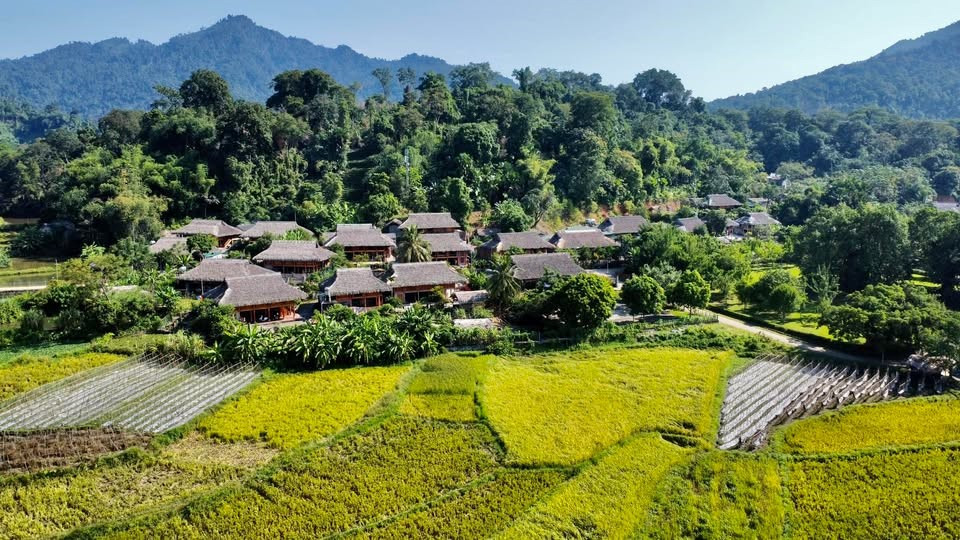 Ngôi làng cổ có tuổi đời hàng trăm năm, từng là 'Trái tim cách mạng', được Bác Hồ đặt tên ý nghĩa, sở hữu gần 20 di tích lịch sử - ảnh 1