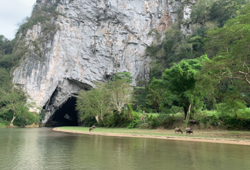 Rừng già chuyển lá, nhuộm sắc bên hồ nước ngọt ‘đẹp nhất thế giới’ của Việt Nam