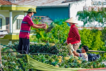 Xâm nhập mặn, chuẩn xanh và bài toán sống còn của doanh nghiệp ĐBSCL