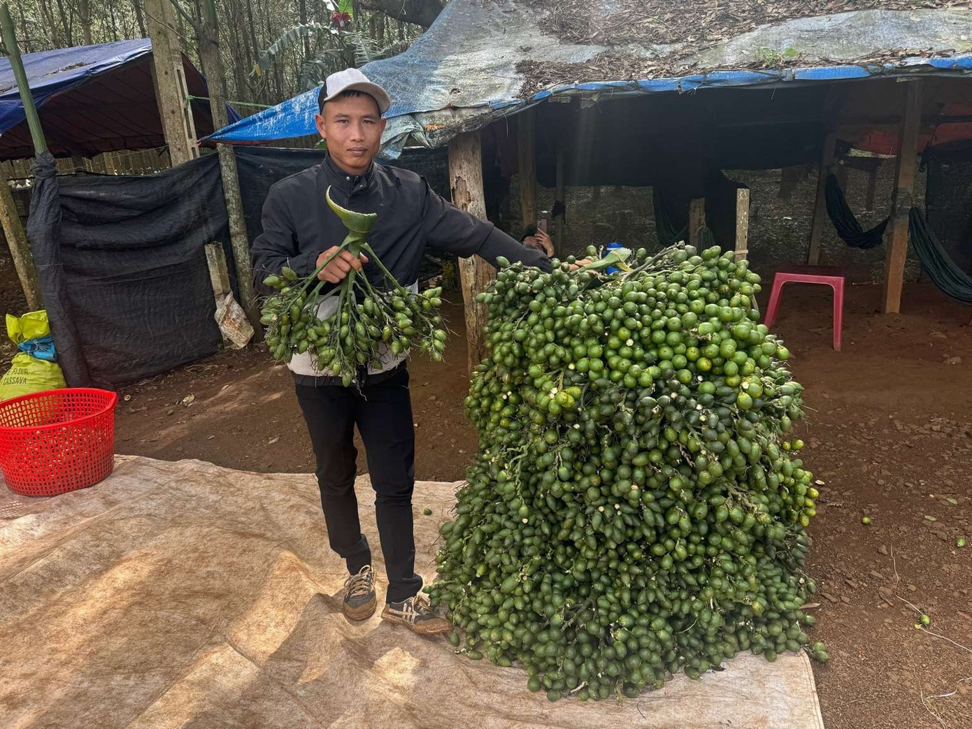 cau-giam-dung-luong.jpg