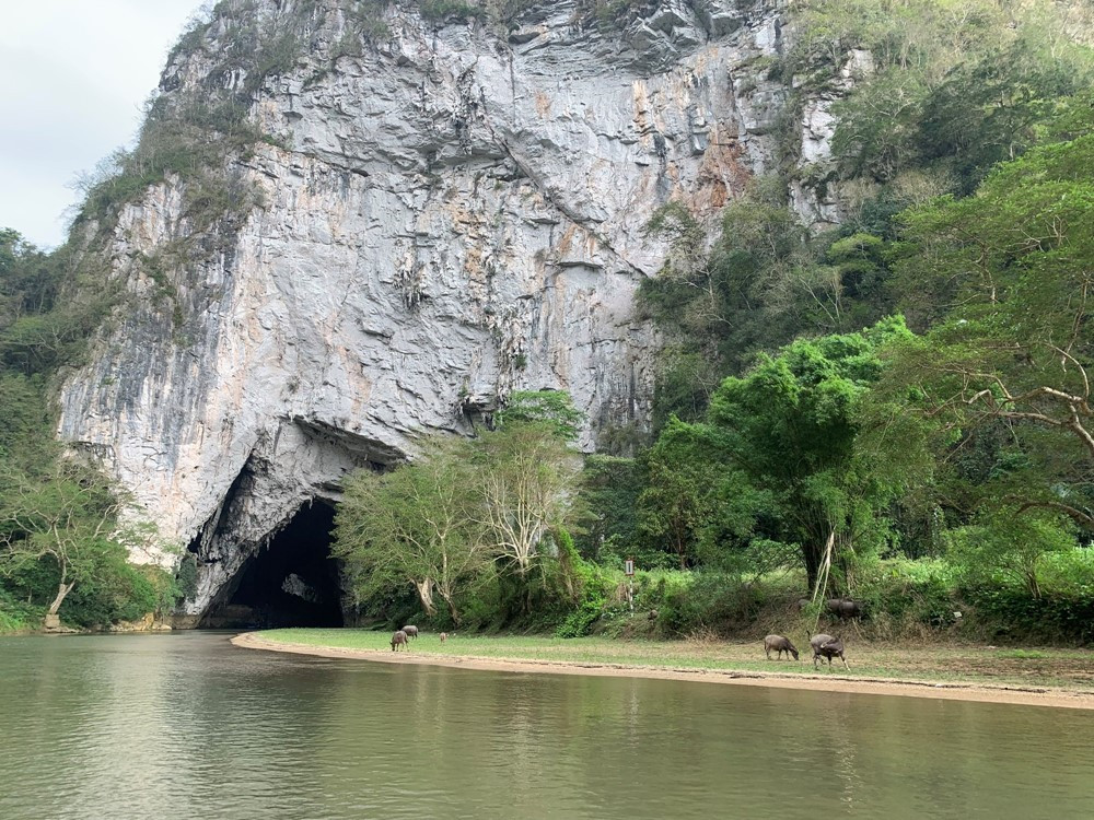 Rừng già chuyển lá, nhuộm sắc bên hồ nước ngọt ‘đẹp nhất thế giới’ của Việt Nam - ảnh 4