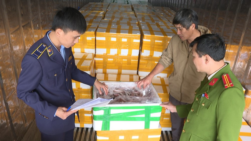 Phát hiện hơn 10 tấn cá chứa chất cực độc, gây ung thư, đang trên đường ‘tuồn’ vào các nhà hàng - ảnh 1