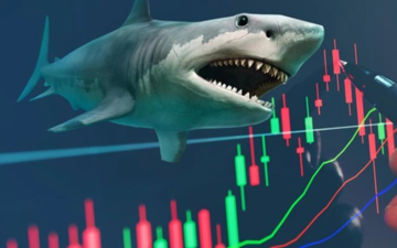 Sacombank (STB): Bất ngờ rơi mạnh cuối phiên, dòng tiền lớn vẫn miệt mài gom hàng triệu cổ phiếu