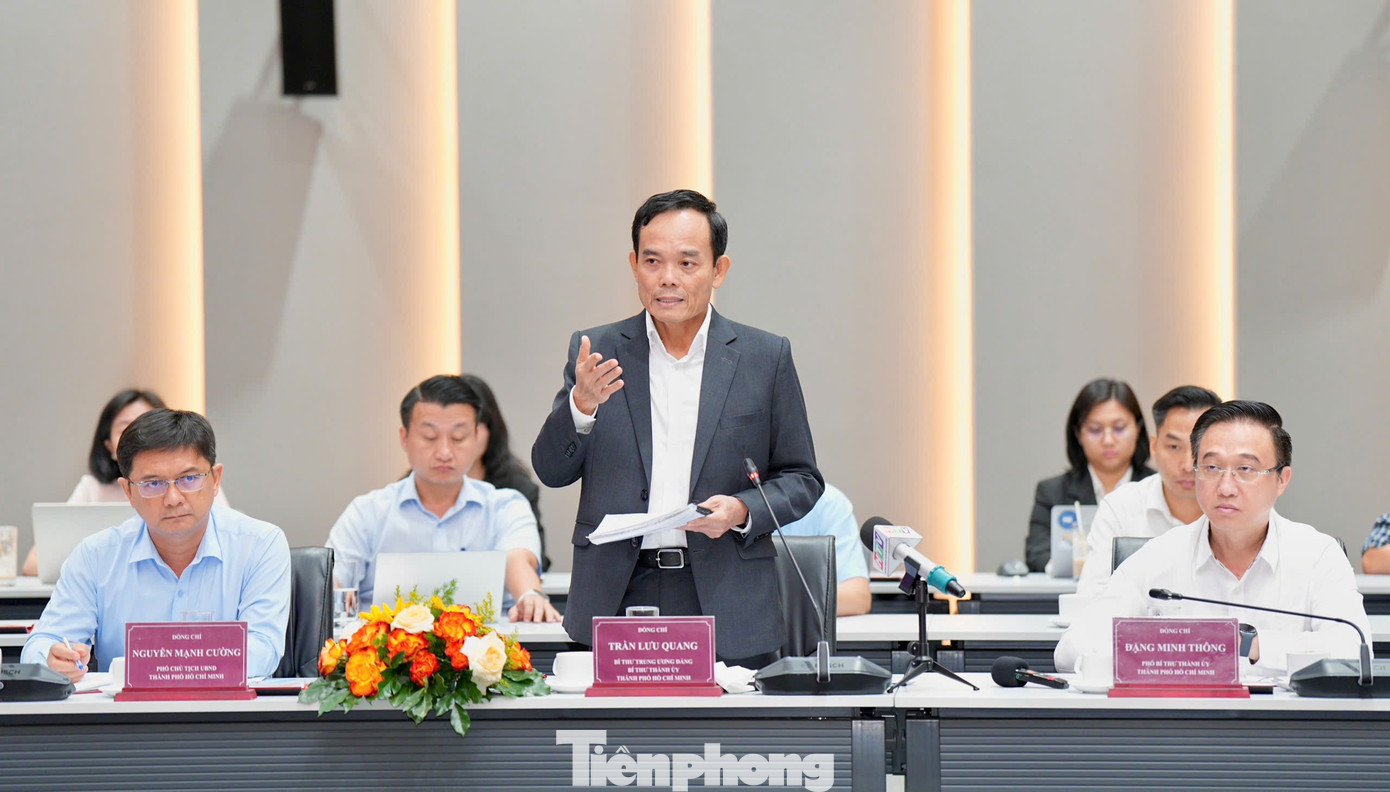 tp-bd.jpg