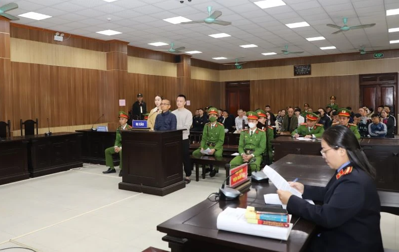 Trùm giang hồ Vi 'ngộ' lĩnh án 6 tháng tù - ảnh 1