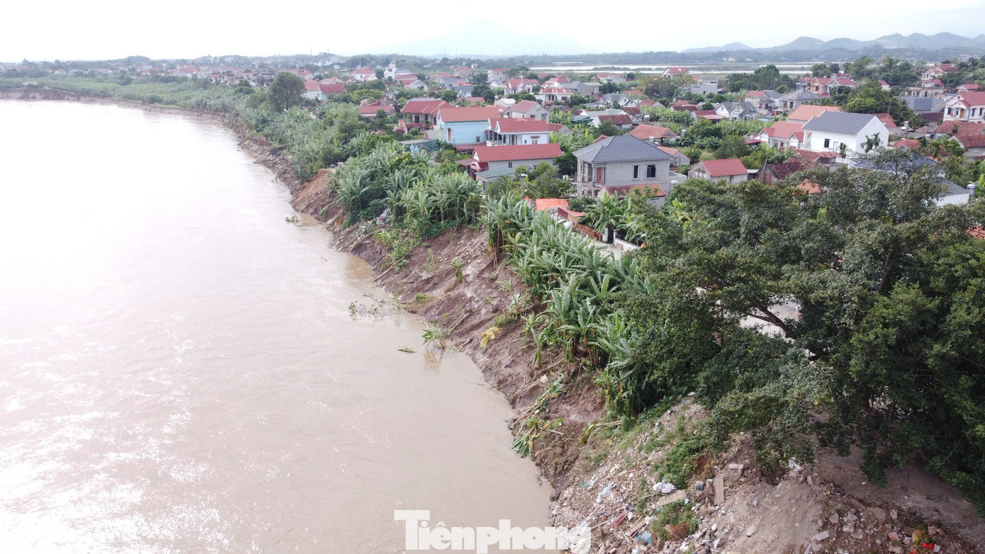 Bờ sông Lô sạt lở, UBND tỉnh Phú Thọ đã quyết định công bố tình huống khẩn cấp. tp-7.jpg