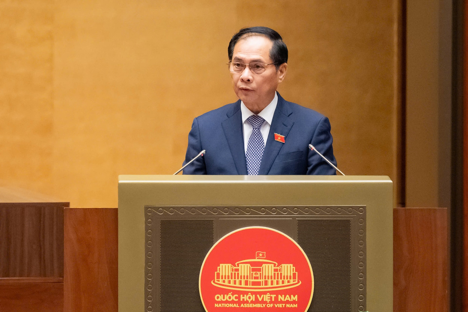 Phó Thủ tướng Chính phủ Bùi Thanh Sơn trình bày tờ trình.