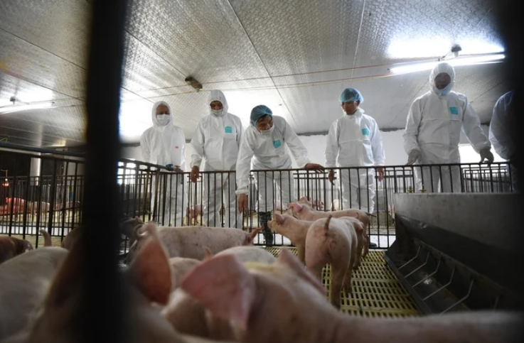 Ảnh chụp màn hình 2025-12-03 095726