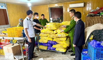 Chặn đứng 752kg chân gà đông lạnh không nguồn gốc tại Bắc Ninh