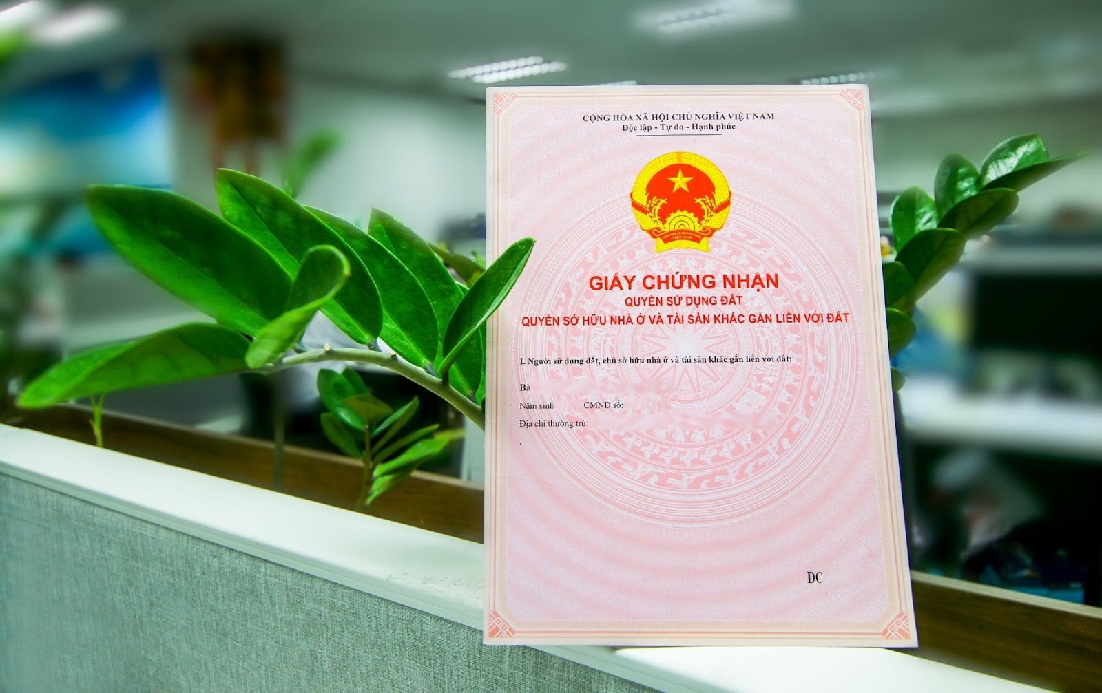 Từ nay, việc đứng tên trên sổ đỏ sẽ có sự thay đổi lớn- Ảnh 1.