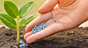 Campuchia chi 249 triệu USD để mua hơn 600.000 tấn hàng quan trọng từ Việt Nam: Nước ta sản xuất 8 triệu tấn/năm, vừa bỏ túi hơn 747 triệu USD