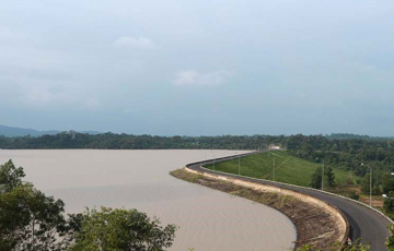 Một doanh nghiệp thủy điện ‘chốt’ nộp 19 tỷ thay cho việc tự trồng và chăm sóc 155ha rừng