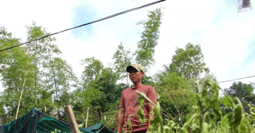 Nông dân Khánh Hòa mất trắng vụ Tết sau mưa lũ lịch sử