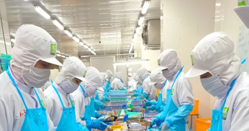 Xoay vốn cho sản xuất