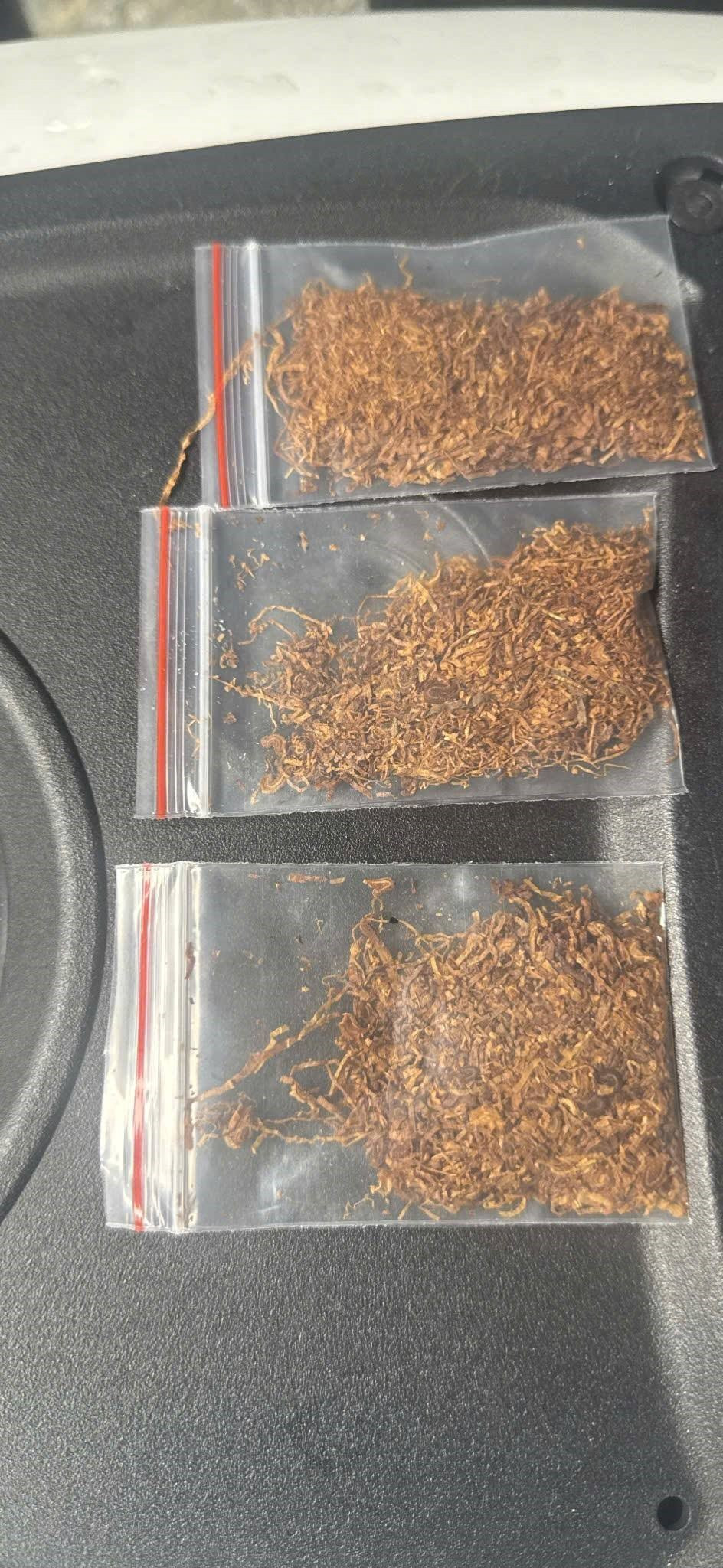 Bắt khẩn cấp, khám xét nơi ở của sinh viên Trương Phạm Bình Minh - ảnh 2