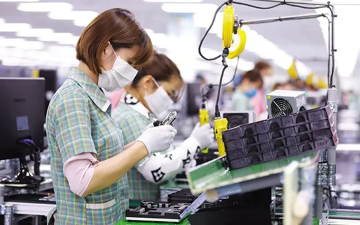 Doanh nghiệp tự nâng thuế từ 5% lên 10% để ‘an toàn’: Cục Hải quan nói gì?