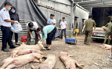 Nguy cơ bùng phát dịch bệnh cuối năm: Ngành chăn nuôi bước vào 'mùa cao điểm' chống dịch