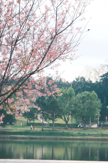 Nơi được mệnh danh là 'tiểu Paris của Việt Nam' có lượt tìm kiếm nhiều nhất trên Google 2025